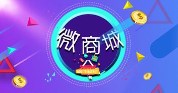 打造卓越的微信商城系統(tǒng) B2C電子商務(wù)開(kāi)發(fā)全攻略